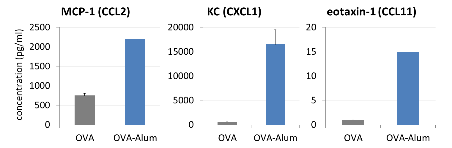 Alum Vaccine Adjuvant