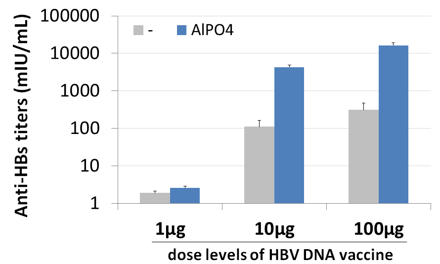 Alum Vaccine Adjuvant