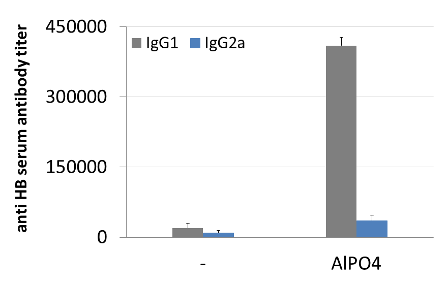 Alum Vaccine Adjuvant