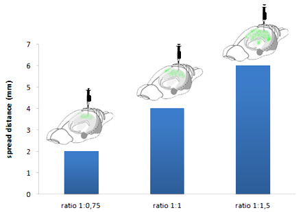 in vivo gene delivery