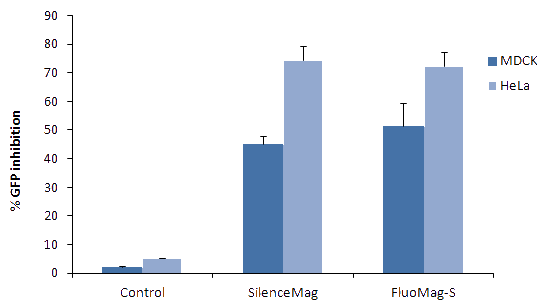 Transfection efficiency of FluoMagS transfection reagent