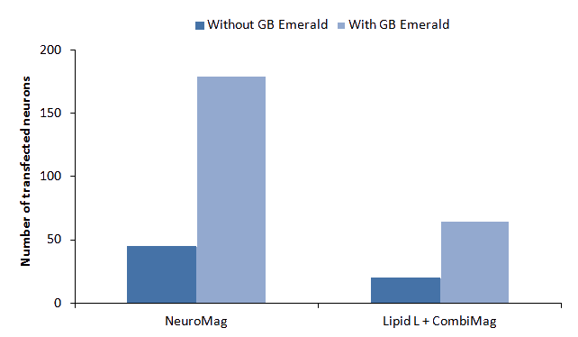 Transfection efficiency with GeneBlaster Emerald