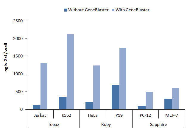 Transfection efficiency with GeneBlasters