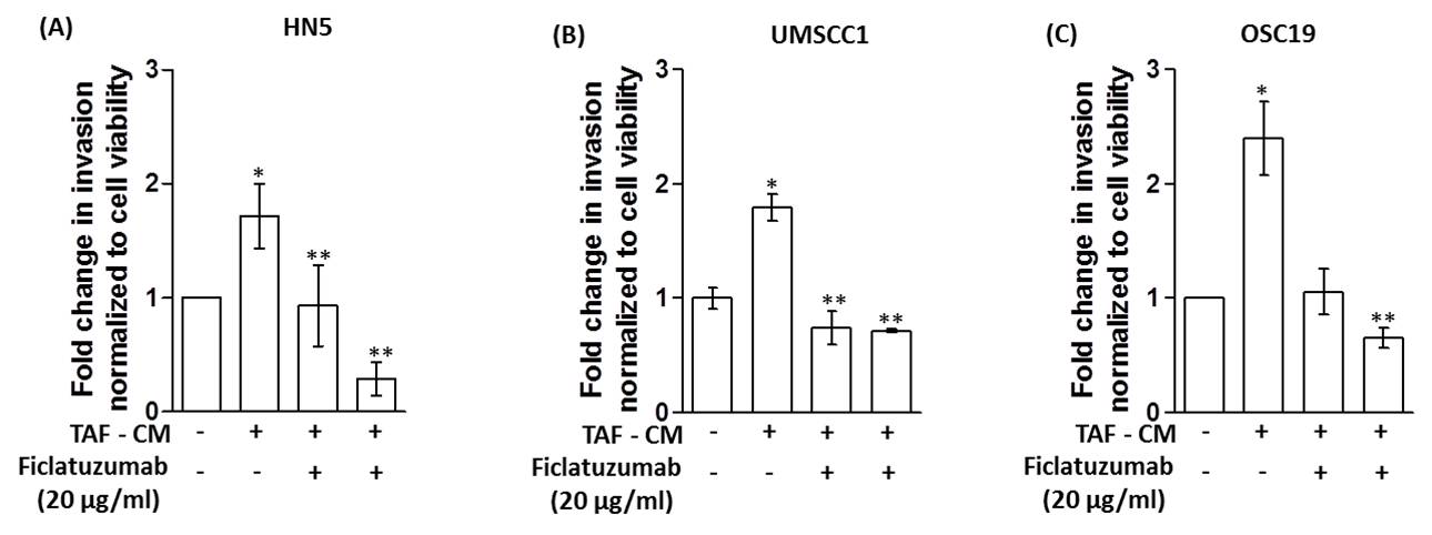 Ficlatuzumab (FIC) inhibited migration and invasion behaviors  of head and neck squamous cell carcinoma (HNSCC) cells