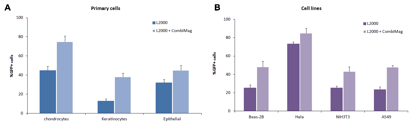 Magnetofectamine Transfection efficiency