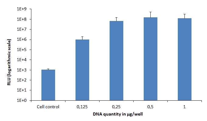 Plasmid Transfection control