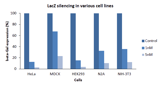 LacZ silencing with SilenceMag Reagent