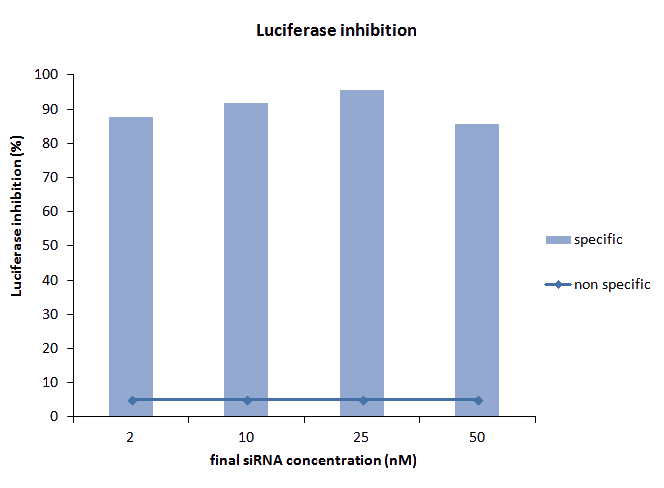 Luciferase silencing