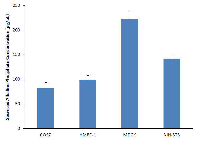 3D Transfection results with 3DFect Transfection reagent