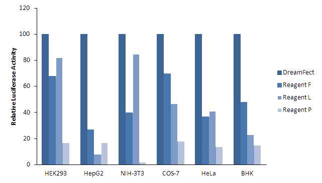 DreamFect Transfection reagent efficiency