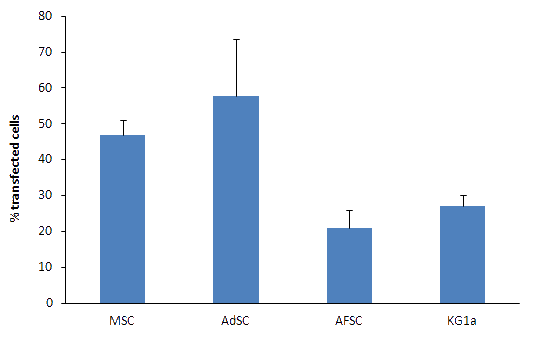 Human stem cells transfection