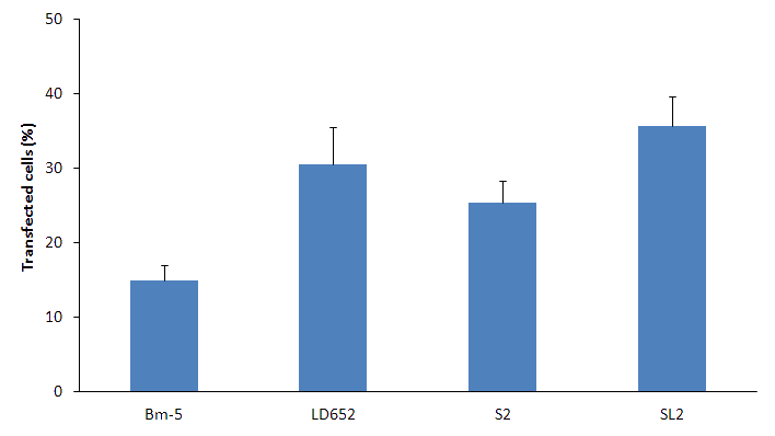Insect cell lines transfection results with FlyfectIN Insect cell lines transfection results with FlyfectIN