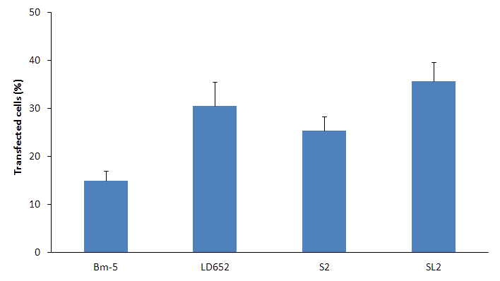 Insect cell lines transfection results with FlyfectIN