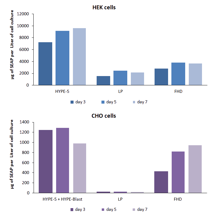 Hype5 Transfection results