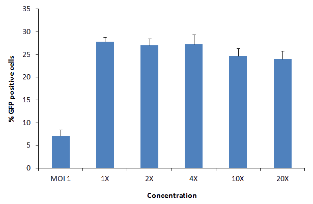 Cos7 Cells transfection with Mag4C LV