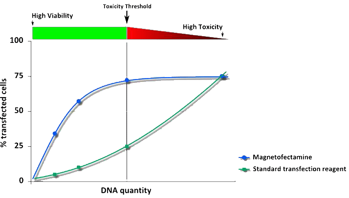 Magnetofectamine Transfection efficiency