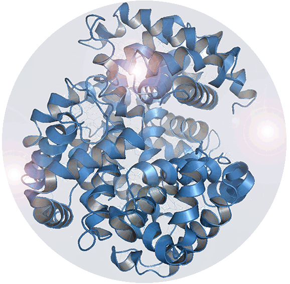 OZ Biosciences protein delivery range