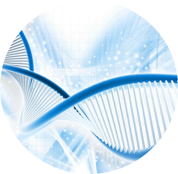 OZ Biosciences Transfection reagents