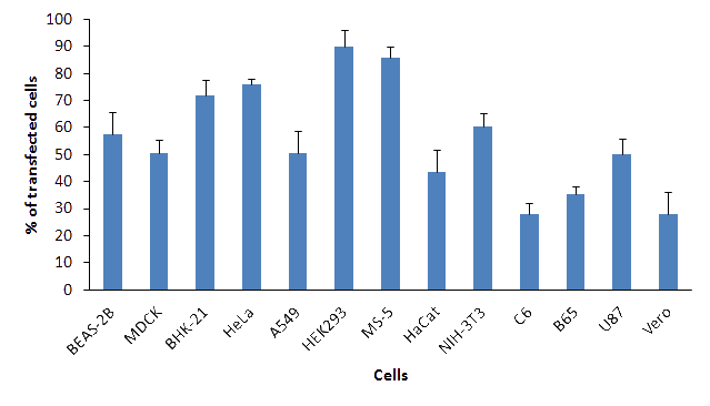 PolyMag Neo Transfection Efficiency