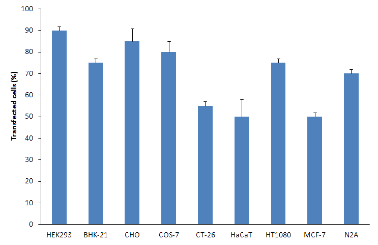 PolyMag Transfection efficiency