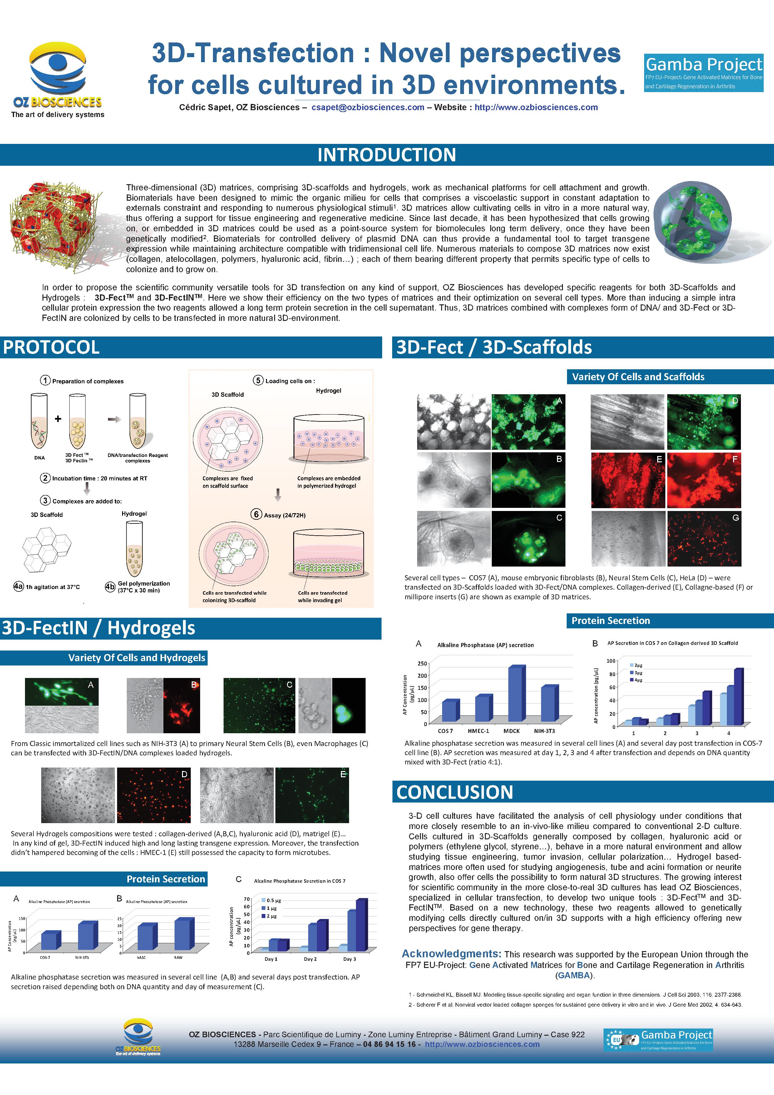 3D-Transfection: Novel perspectives for cells cultured in 3D environments