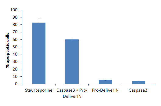 Pro-deliverIN Transfection reagent results