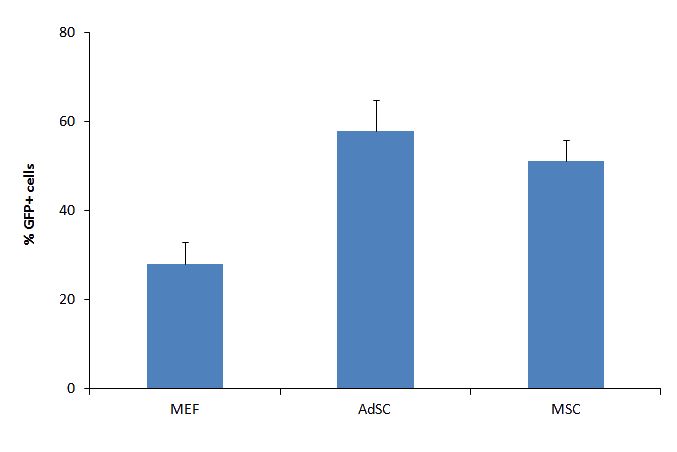 Rmesfect Stem Transfection results