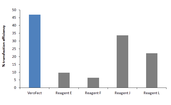 Verofect Transfection reagent results