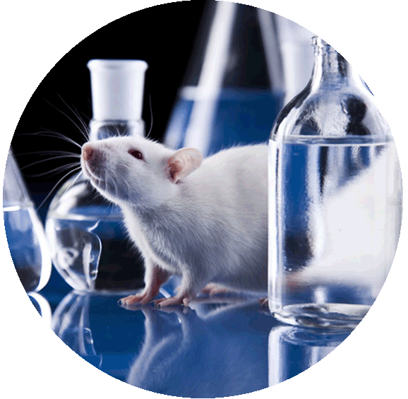 In vivo delivery TIPS OZ Biosciences in vivo delivery reagents