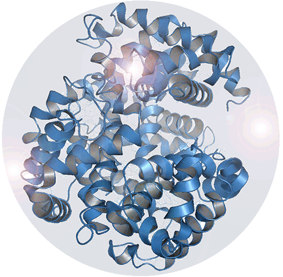 Protein delivery TIPS OZ Biosciences protein delivery range