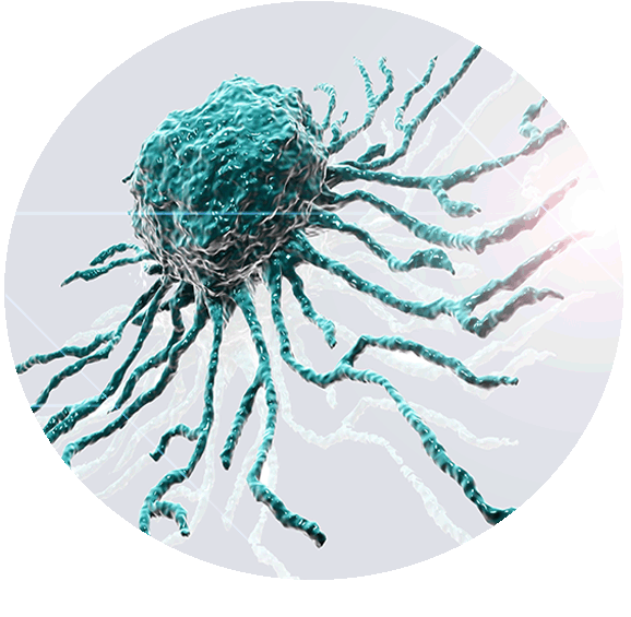 Stem cells TIPS OZ Biosciences stem cells applications