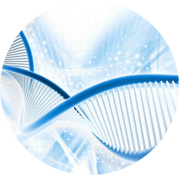 Transfection TIPS OZ Biosciences Transfection reagents