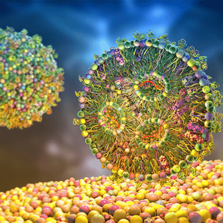 OZ Biosciences reagents