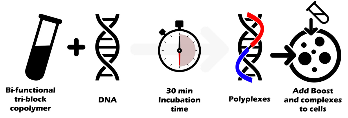 polyfection technology